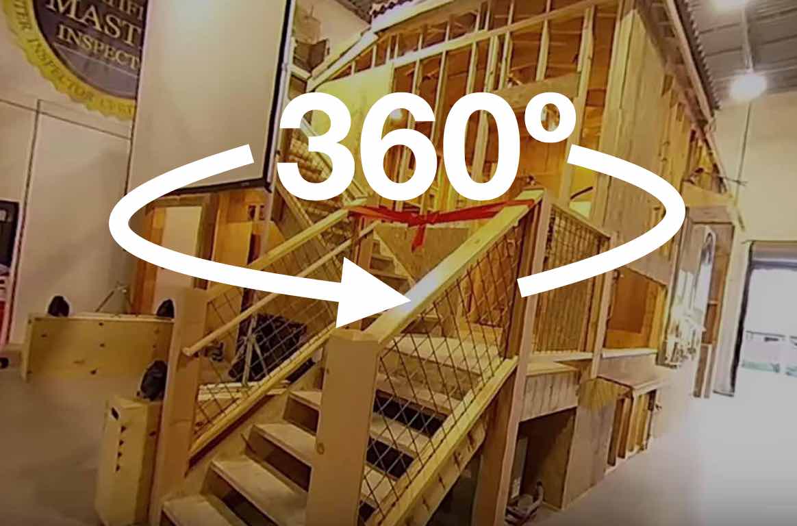 Click here for the 360 video. 